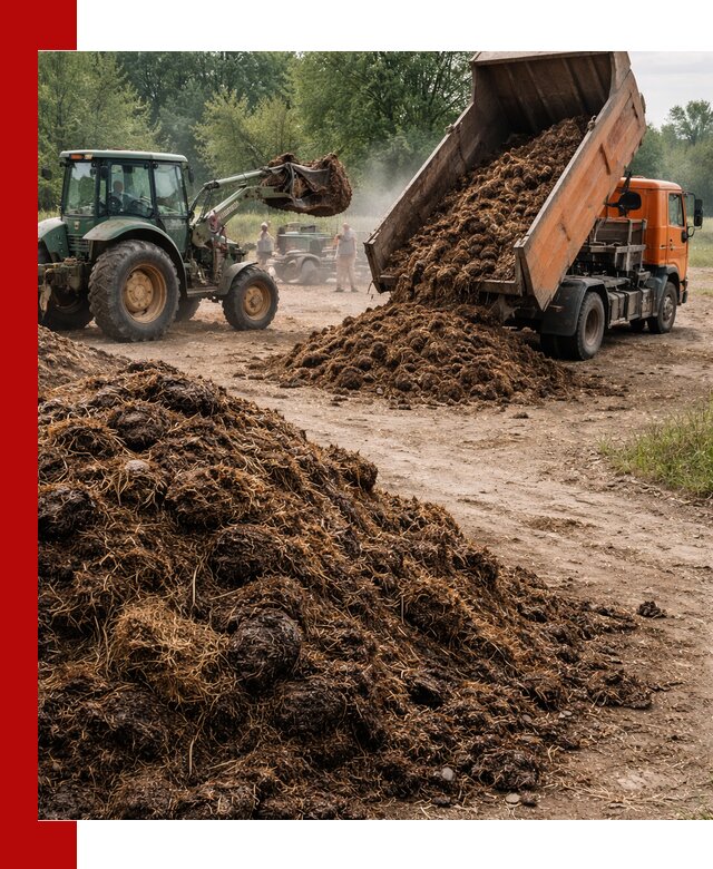 Доставка навоза самосвалами в Котласе для сельхозпотребностей